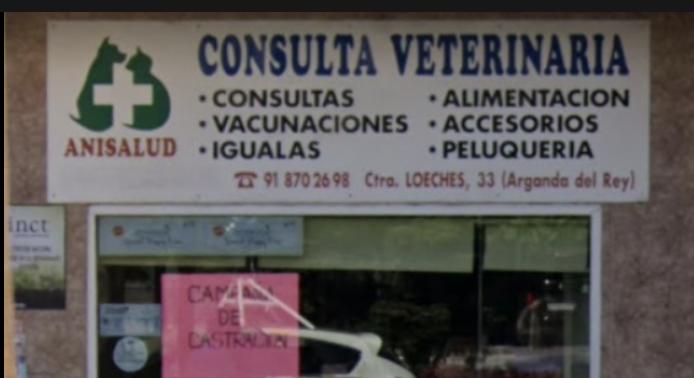 ANISALUD CENTRO VETERINARIO SL — imagen 2