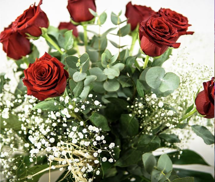 FLORISTERIA VANESSA — imagen 2