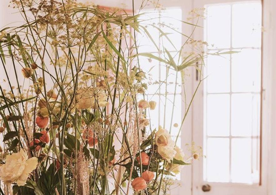 Mistica Floristeria — imagen 3