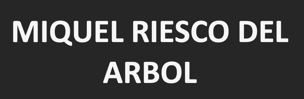 Miguel Riesco Del Arbol — imagen 1