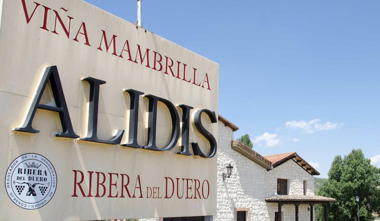 VIÑA MAMBRILLA — imagen 1