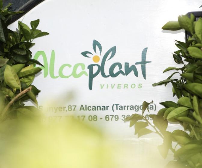 VIVERS ALCAPLANT — imagen 5