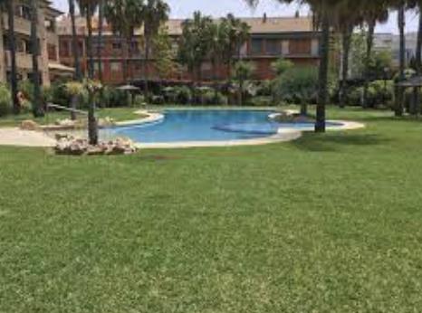 Miguel Mata Garden & Pool — imagen 2