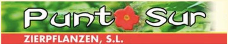 PUNTO SUR ZIERPFLANZEN — imagen 1
