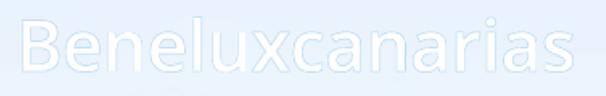 Bene- Lux Canarias — imagen 1