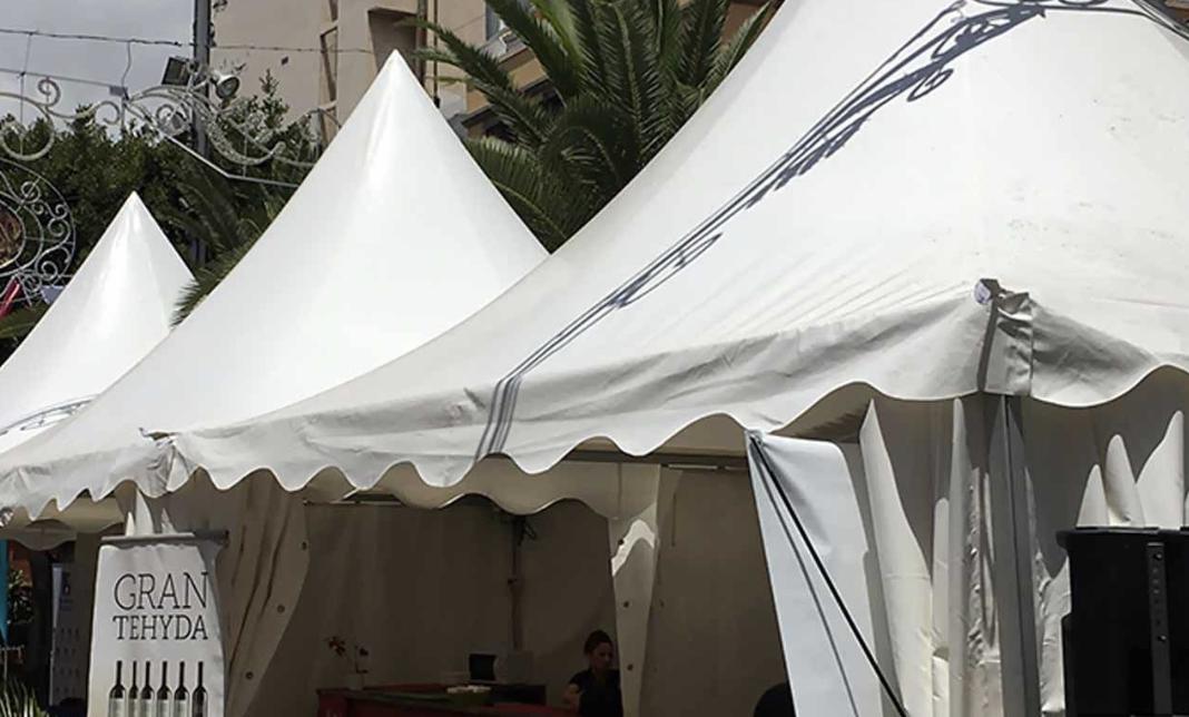 Bene- Lux Canarias — imagen 3