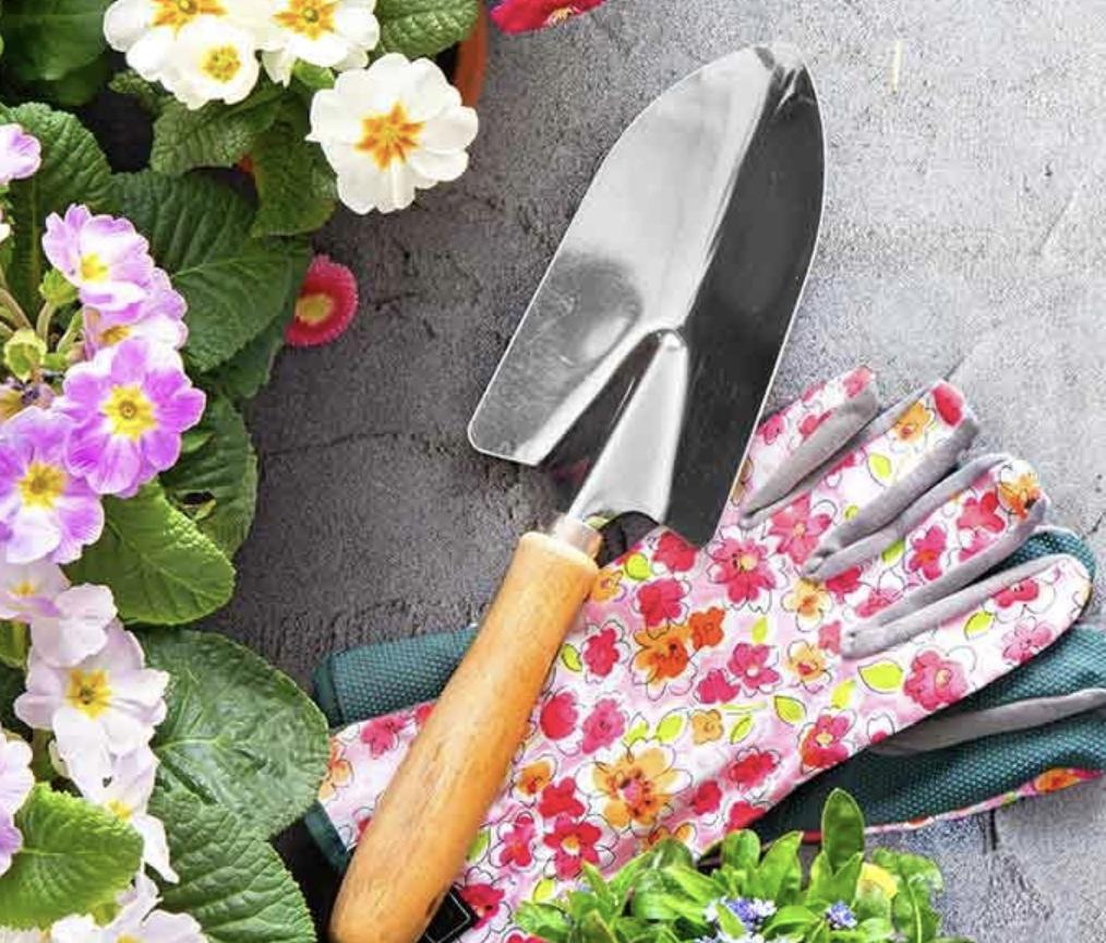 JAYTO FONT JARDINERIAS — imagen 2