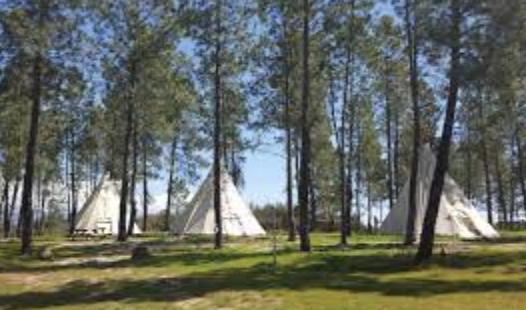 Las Casitas Del Pinar De La Vera — imagen 2