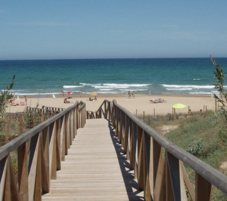 Camping Palm - Mar — imagen 2