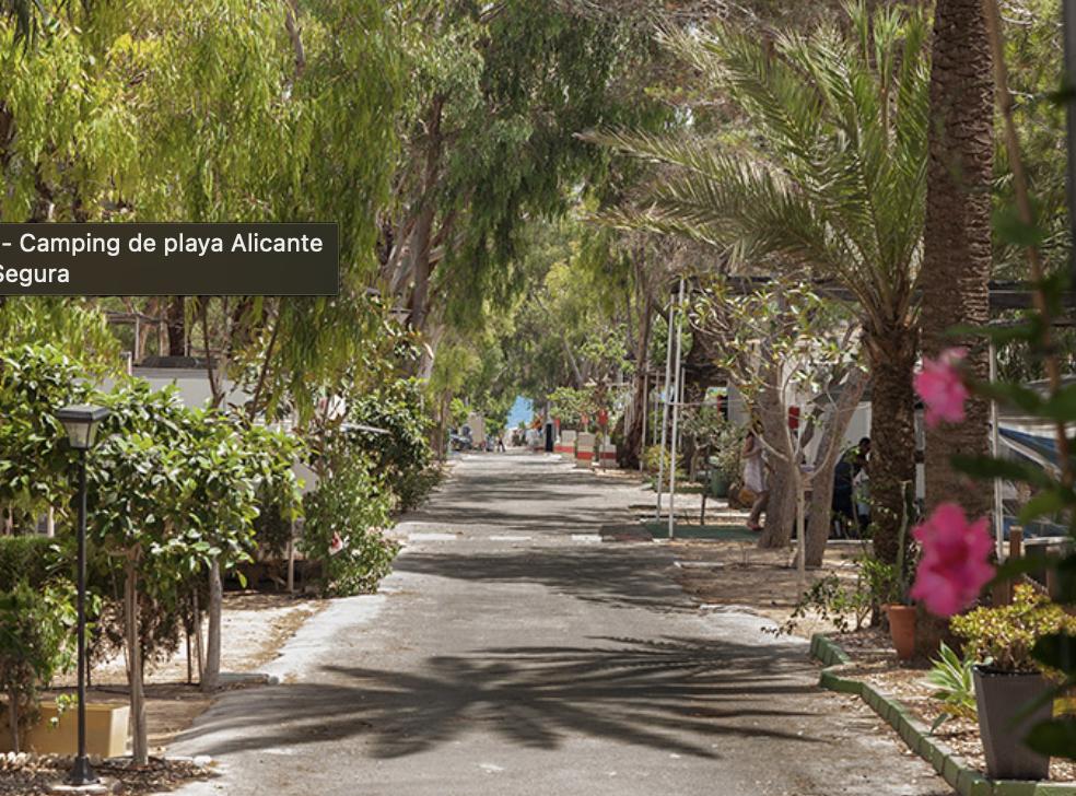 Camping Palm - Mar — imagen 3