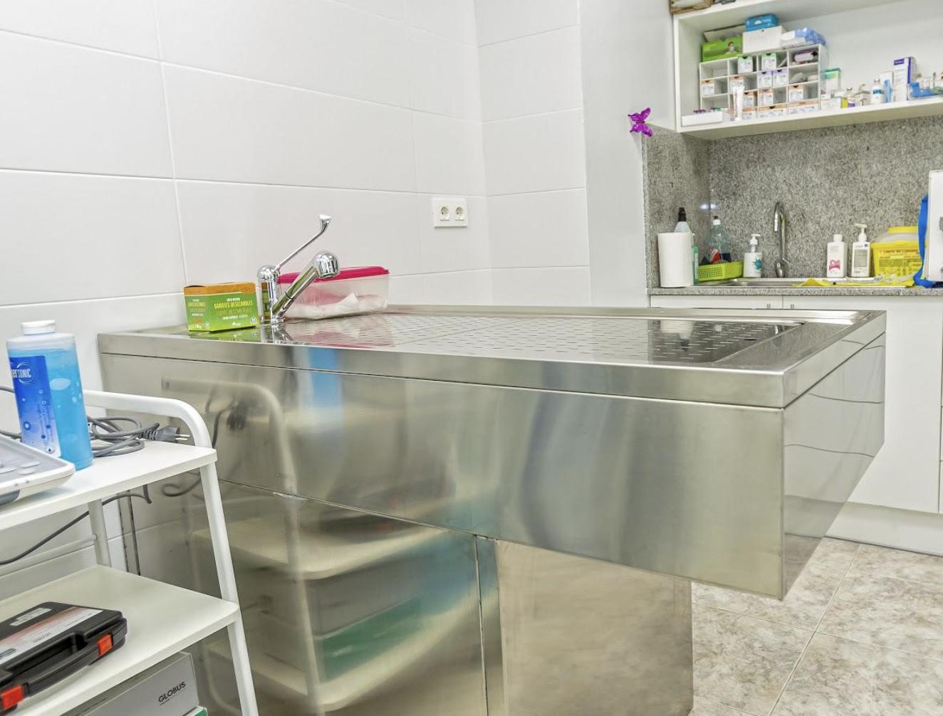 KATKAN VETERINARI — imagen 5