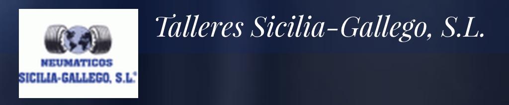 Talleres Sicilia Gallego — imagen 1