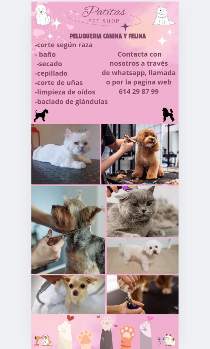 PATITAS PET SHOP — imagen 1