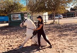 CENTRE EQUESTRE SON VIVOT — imagen 2