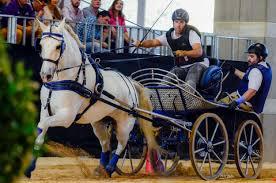 CARRUAJES GR — imagen 2