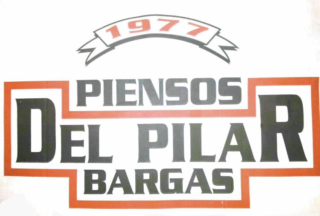 PIENSOS DEL PILAR SL — imagen 1