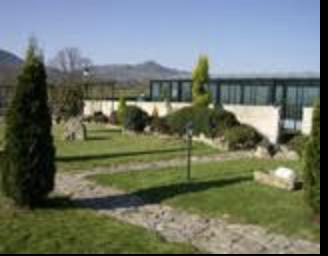 Campos Montero Xardinería — imagen 2